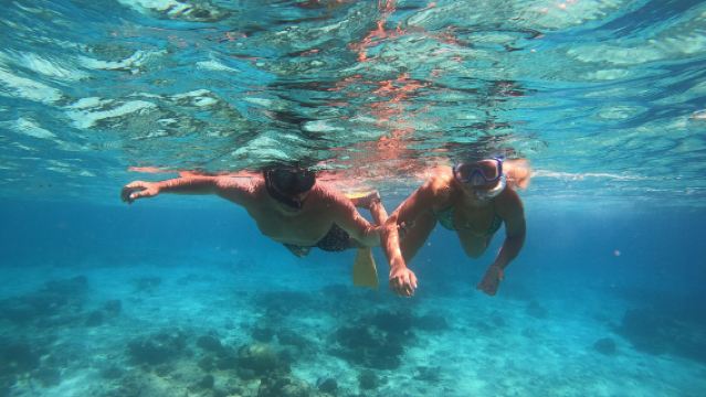 สำรวจหมู่เกาะกิลีจากลอมบอก: ทริปดำน้ำชมปะการังที่เกาะกิลีตราวังอัน เมโน และแอร์