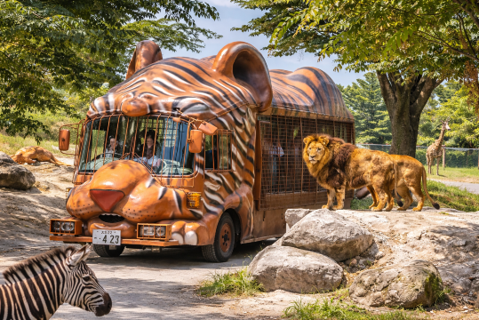 Kyushu Nature Zoo Day Tour