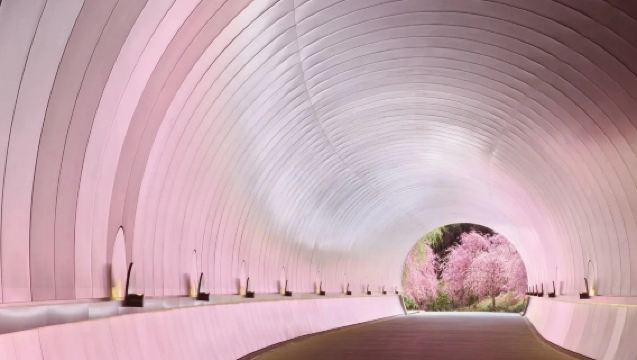 Von Osaka & Kyoto: Miho-Museum + Nachtkirschblüten in Mii-dera + Biwasee-Kanal zur Kirschblütenzeit