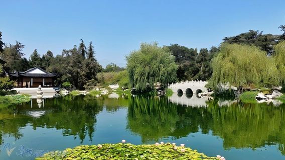 Lawatan Kajian Sewaan Peribadi di Los Angeles, Amerika Syarikat - Perpustakaan Huntington - Caltech - UCLA - Tanpa Risau