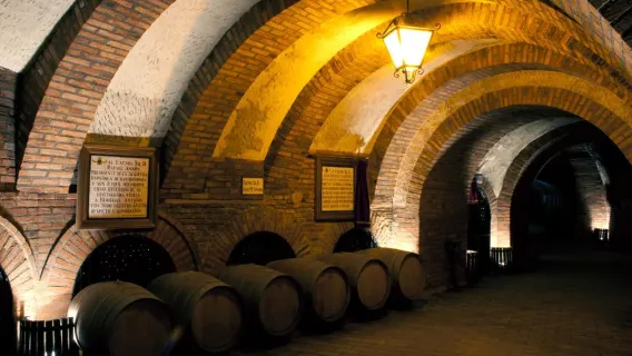 Rueda, Valladolid: Visit Bodegas Mocén: Art, History, Culture, and Wine