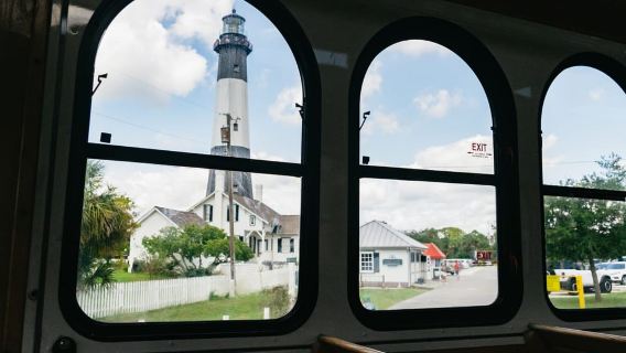 Savannah: Tybee Island Dolphin Tour