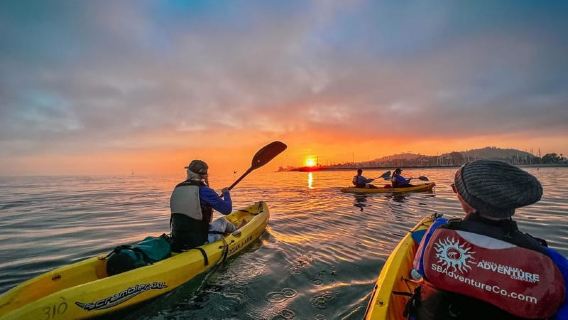 Santa Barbara Harbor: Sunset Kayak Tour (2 Hours)