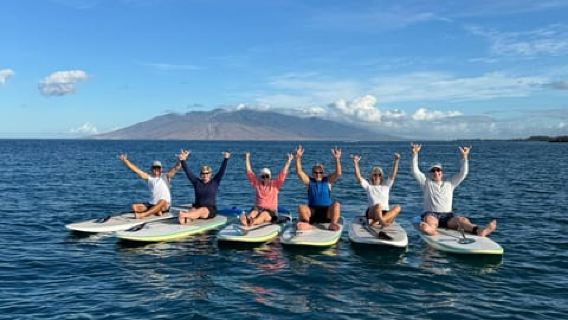 Maui: Beginner Level Private Stand-Up Paddleboard Lesson