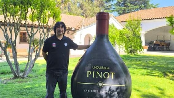 UNDURRAGA VINEYARD