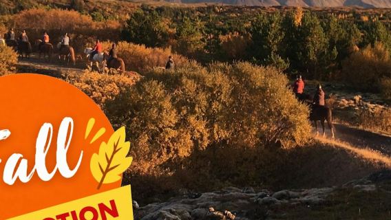 Βόλτες με ισλανδικά άλογα μέσα από τα πεδία λάβας της τοποθεσίας Hafnarfjörður