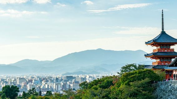 Fushimi Inari-Taisha, Arashiyama & Kiyomizu-Dera: Dagsutflykt från Kyoto med inträde