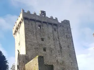  Private Tour of Blarney Castle, Cork City and Kinsale