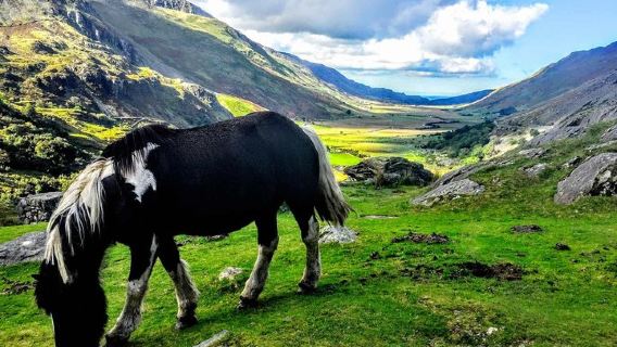 利物浦的北威爾士冒險觀光10小時包車一日遊