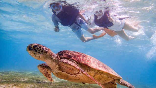 沖縄 タビワク　宮古島
