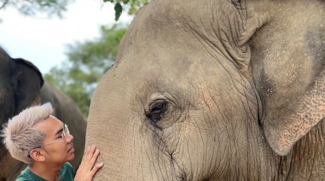 蘇梅島大象王國【餵大象|空中棧道|網紅大象咖啡廳