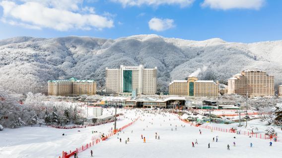 Vivaldi Ski World e ghiacciaio Eobise Valley a Hongcheon (partenza da Seul)