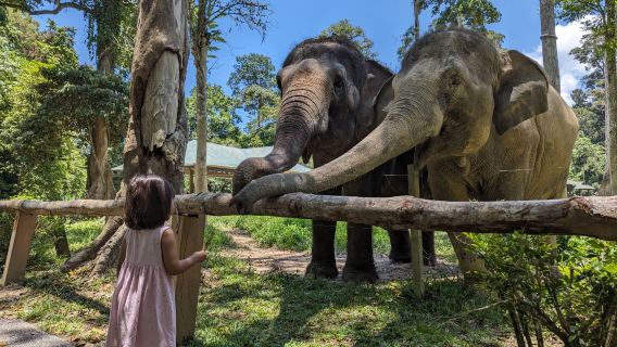 Kuala Lumpur: Gua Batu & Suaka Gajah Kuala Gandah
