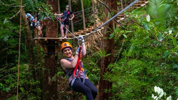 Treetops Adventure - Cape Tribulation