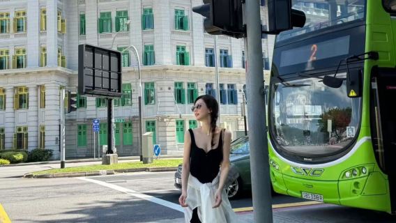 聖淘沙島+新加坡濱海灣花園+魚尾獅公園+小印度【包車】