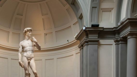 アカデミア美術館：ガイド付きツアー + オーディオガイド + 優先入場チケット