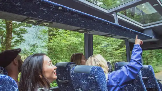 Milford Sound coach tour and day cruise experience