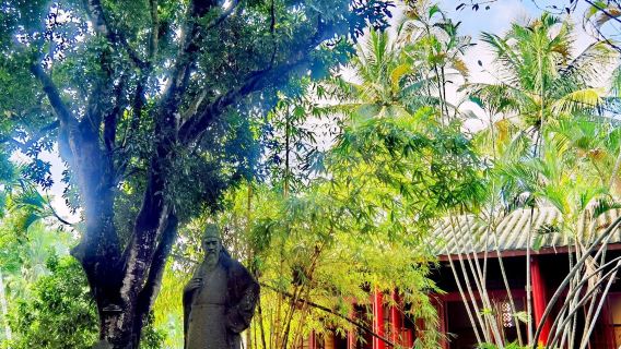 Hainan e Haikou (intero territorio)|guida multilingue |tradurre|passeggiata in città|guida locale professionale| guida dal vivo in attrazione| noleggio con conducente esclusivo un tour giornaliero| Benvenuti a contattare il servizio clienti.