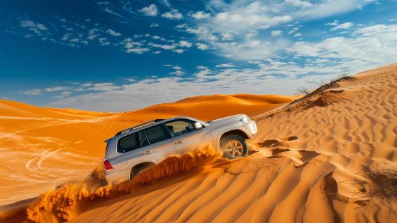 Dubai city tour, Desert Safari with BBQ dinner & Transfers