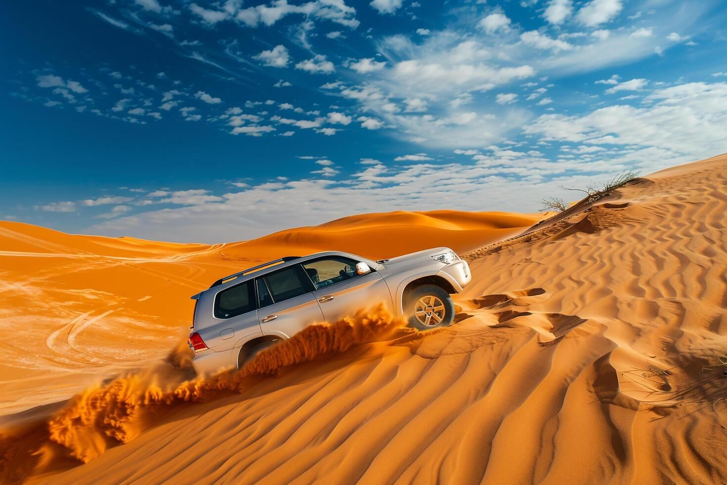 Dubai city tour, Desert Safari with BBQ dinner & Transfers