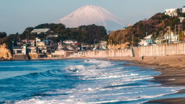 日本東京+鎌倉小町通+江之島一日遊/行程可調-可訂製多日遊