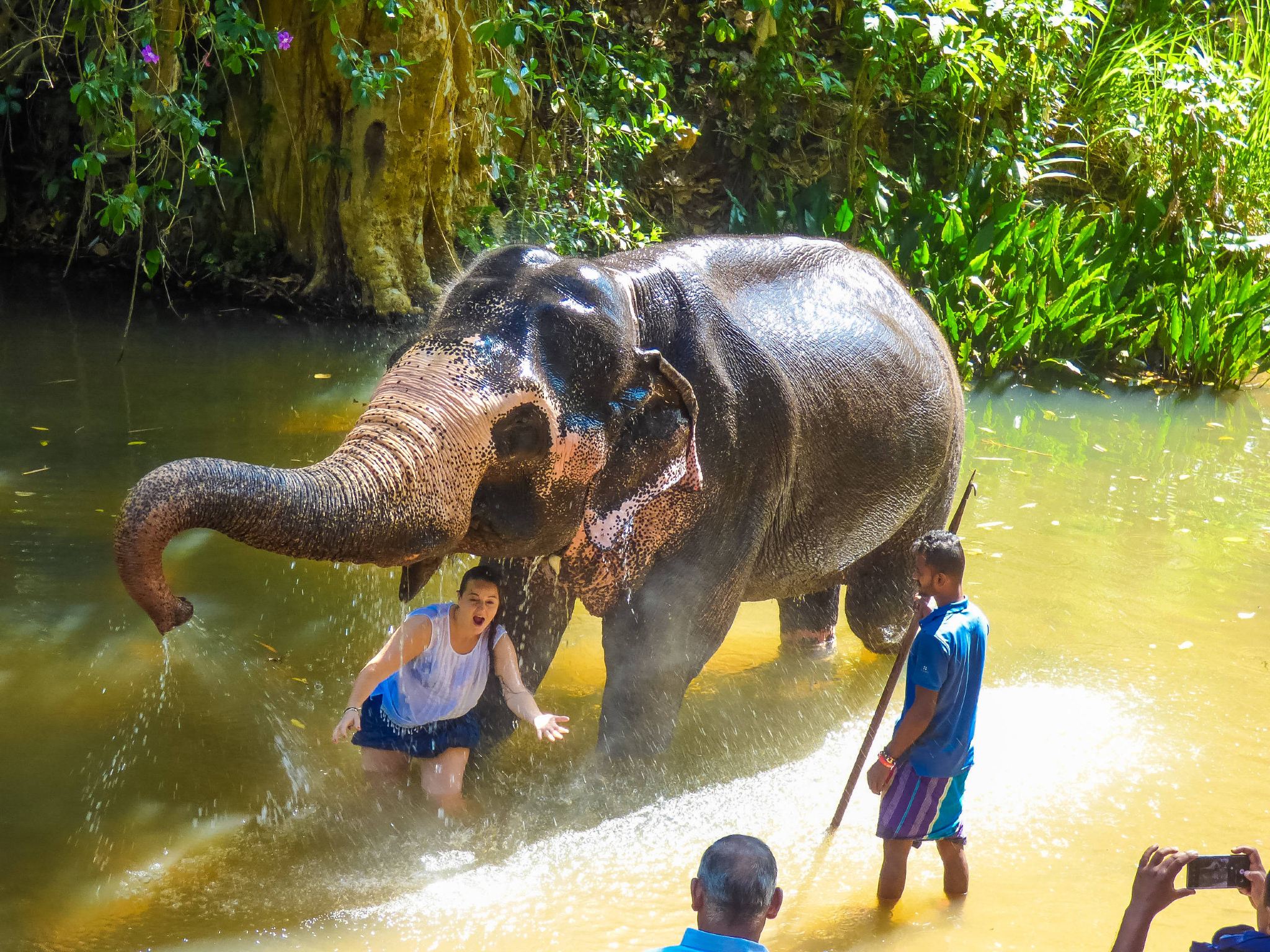 Discovery more Langprabang elephant conservation experience and Kuangsi waterfall