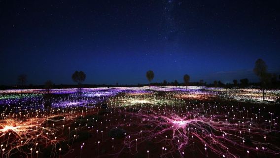 [Tour giornaliero di mezza giornata a Uluru, Australia] Field of Light: illuminazione del deserto e delle stelle, trasferimento gratuito incluso