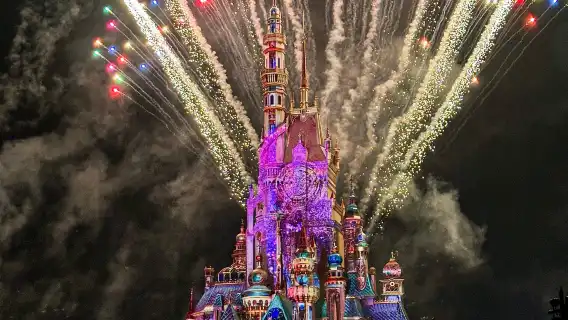 Hong Kong Disney 1-on-1 butler service (excluding express pass and admission ticket/vehicle booking available)