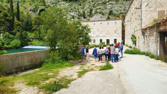 Dubrovnik: giro panoramico e visita guidata a piedi della città vecchia