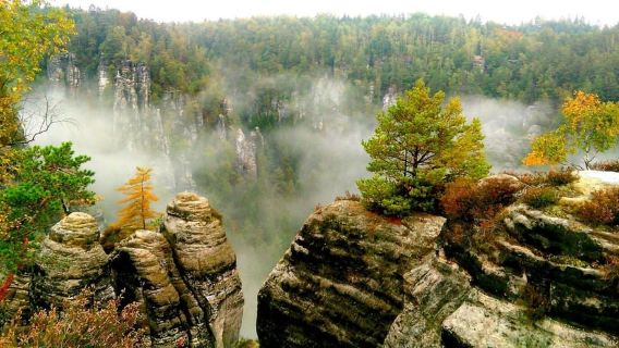 From Dresden: Bohemian & Saxon Switzerland Day Trip