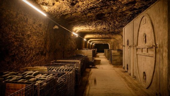 Amboise: Caves Ambacia Visit and Wine Tasting