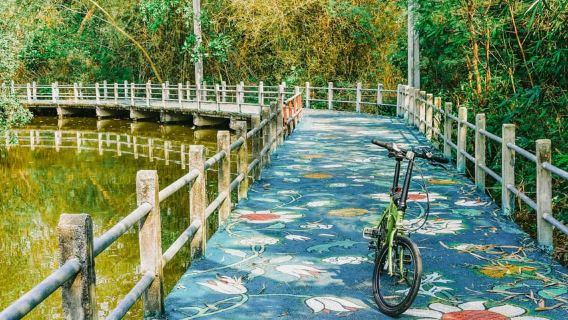 Bangkok: tour in bicicletta del mercato di Khlong Toei e dell'isola di Bang Krachao