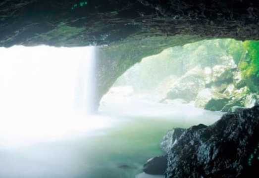 Gold Coast: Natural Bridge Glow Worm Night Tour AUD 80.67