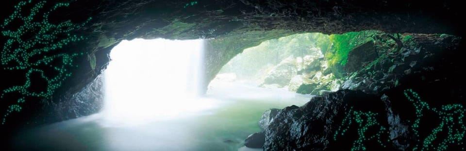 Gold Coast: Natural Bridge Glow Worm Night Tour