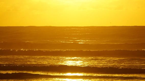 Ab Essaouira: 2-stündiger Ausritt mit Sonnenuntergang