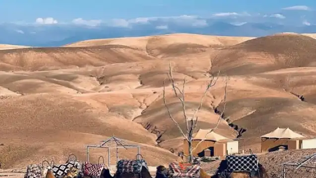 Agafay Desert Tour: Sunset Camel Ride & Dinner with Show