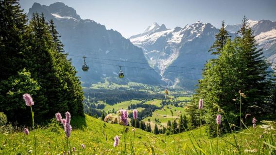 Dari Zurich: Kereta Gantung Pertama Grindelwald & Interlaken