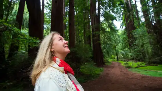 舊金山：繆爾森林與索薩利託之旅（含門票）
