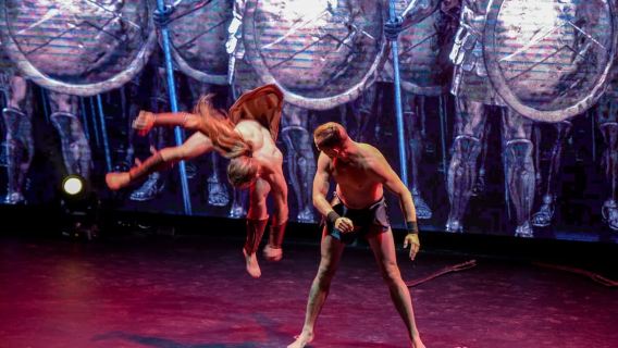 Hersonissos: Troy Dinner-Show Theatre Experience Tickets