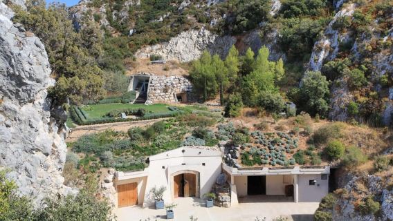 Vineyard of the Alpilles by bike