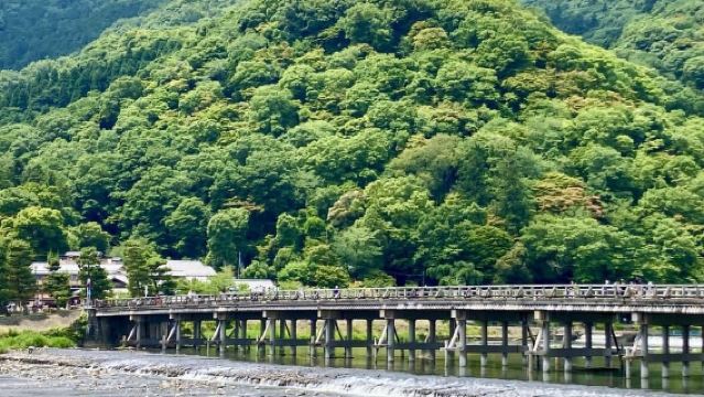 West-Kyoto & Arashiyama: Intensive 1-Tages-Kulturreise