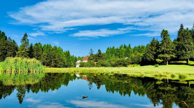 重慶私人導覽一日游【武隆天生三橋+仙女山國家森林公園】