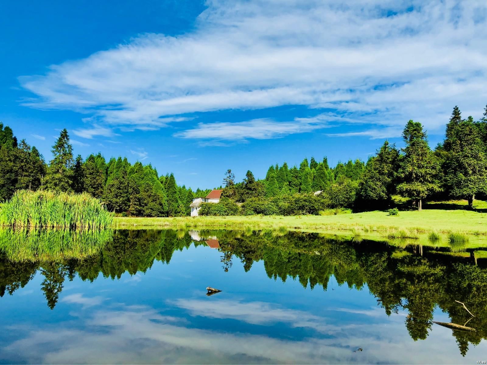 Check out the "Oriental Switzerland"! A one-day group tour from Chongqing to Wulong Natural Three Bridges & Fairy Mountain.