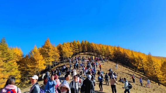 麻田嶺10公里小環穿1日