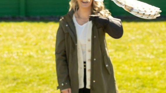 Cliffs of Moher & Aillwee Cave: Day Tour from Dublin + Bird of Prey Experience