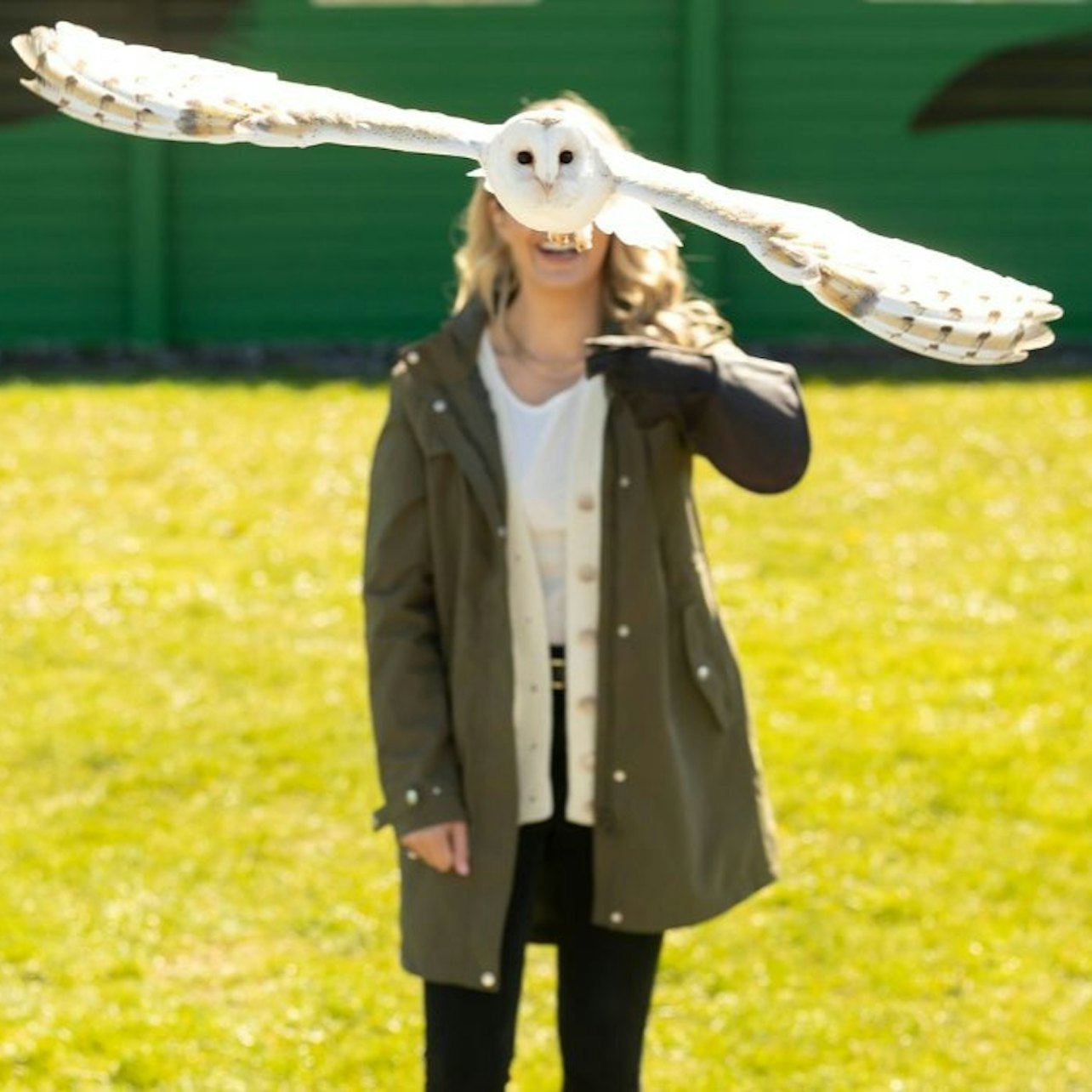 モハーの断崖とアイルウィー洞窟：ダブリン発日帰りツアー + 猛禽類観察体験