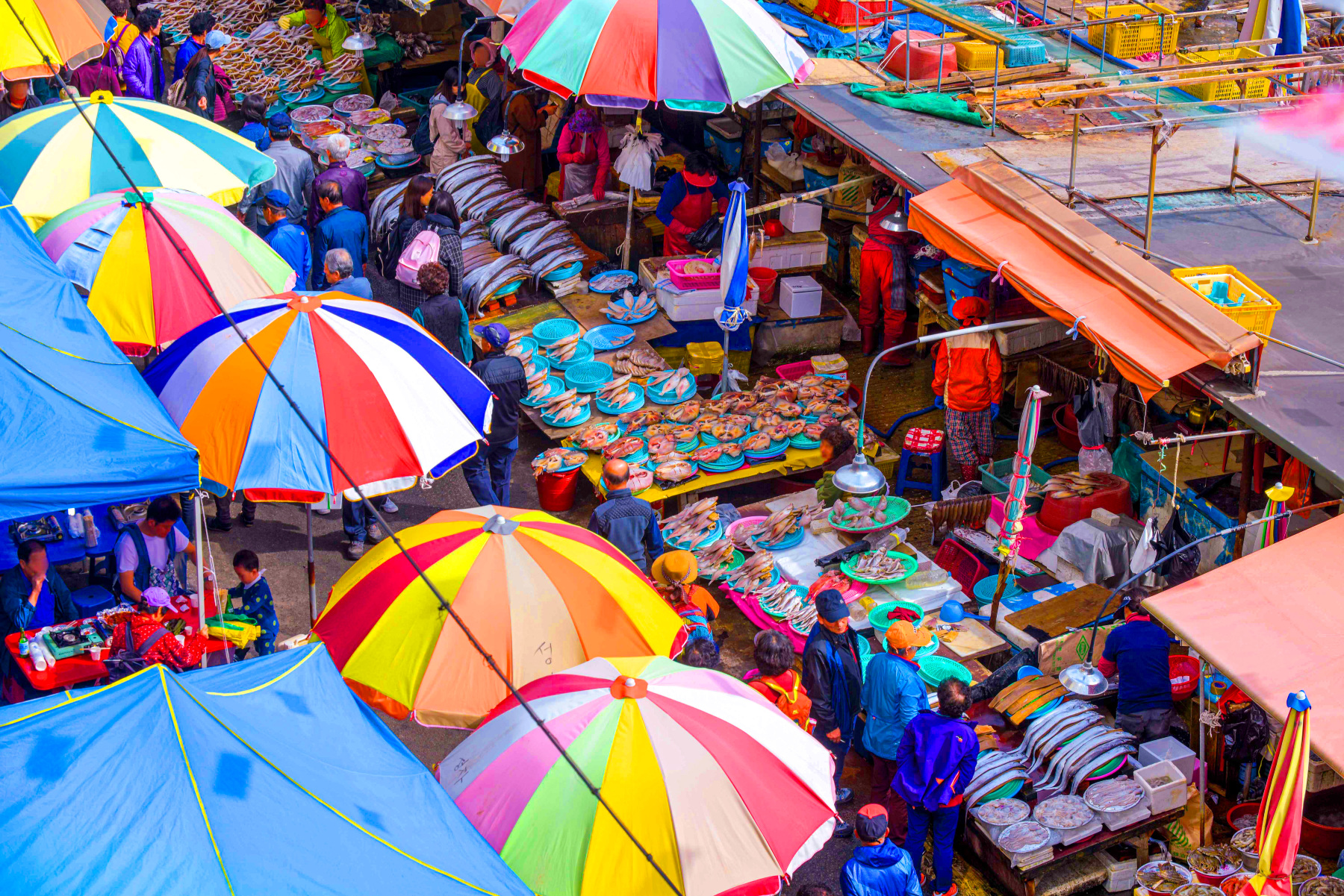 Perjalanan Satu Hari Warna-warni Busan: Kereta Kapsul Langit + Pasar Jagalchi + Pemandangan Malam Pe
