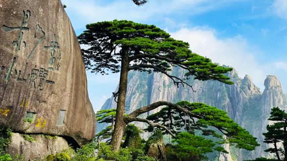 Huangshan 1-day tour: Private guide + hiking companion | Private charter | Private group | Multiple languages including Chinese and English