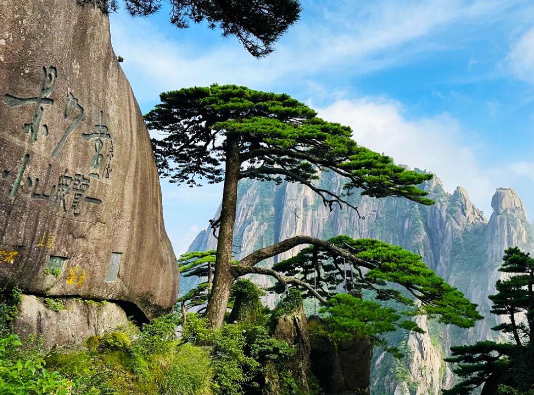Huangshan 1-day tour: Private guide + hiking companion | Private charter | Private group | Multiple languages including Chinese and English
