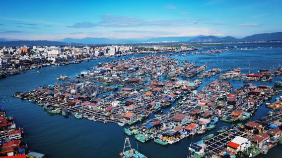 陵水猴島公園+亞龍灣國際玫瑰谷一日遊